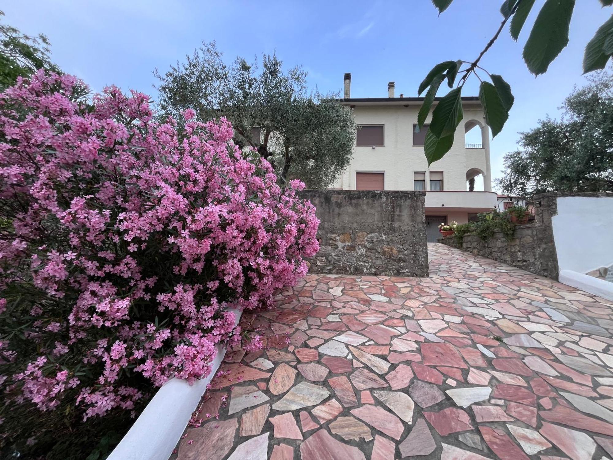 Casa Di Katia Apartman Collesalvetti Kültér fotó